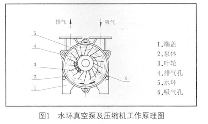 圖1 水環真空泵及壓縮機工作原理圖